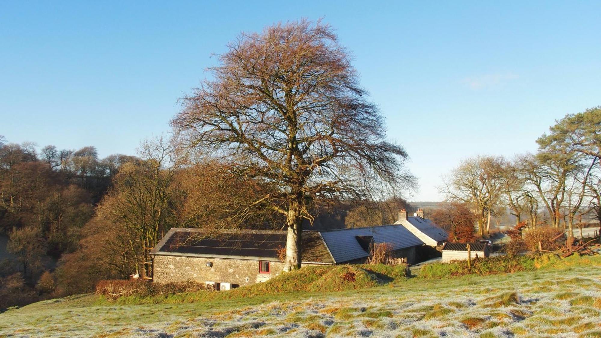 Appartamento Charming Countryside Barn Pencader  Esterno foto