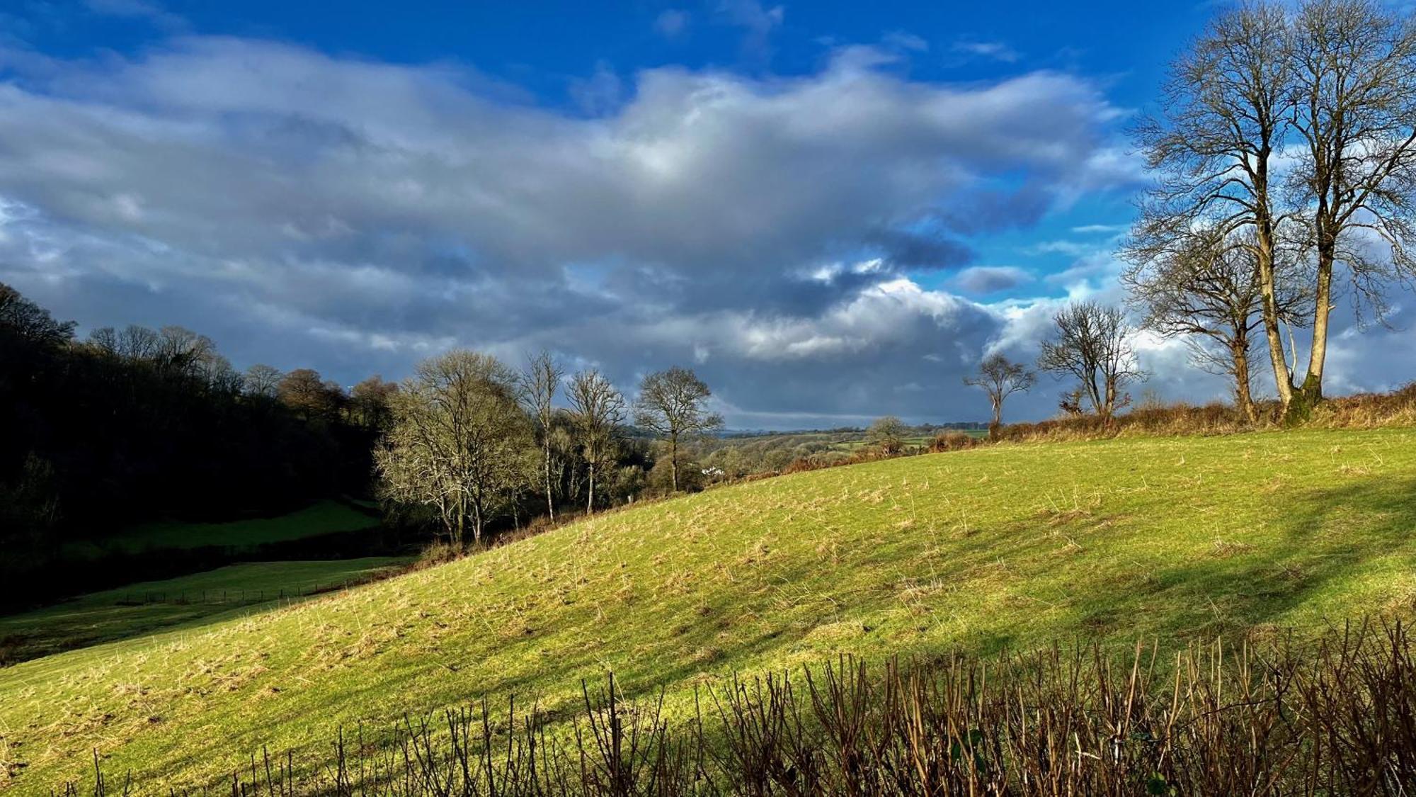 Appartamento Charming Countryside Barn Pencader  Esterno foto