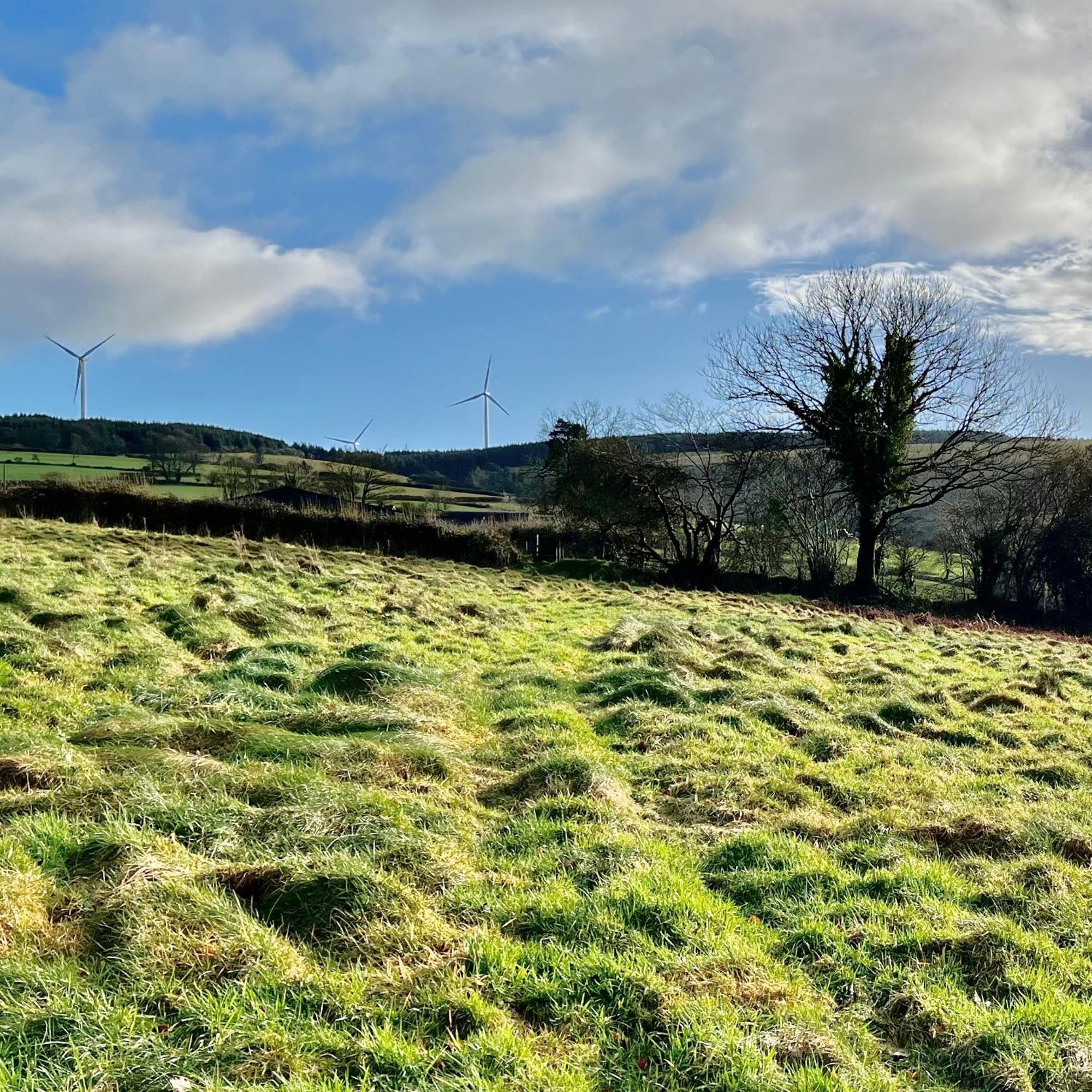 Appartamento Charming Countryside Barn Pencader  Esterno foto