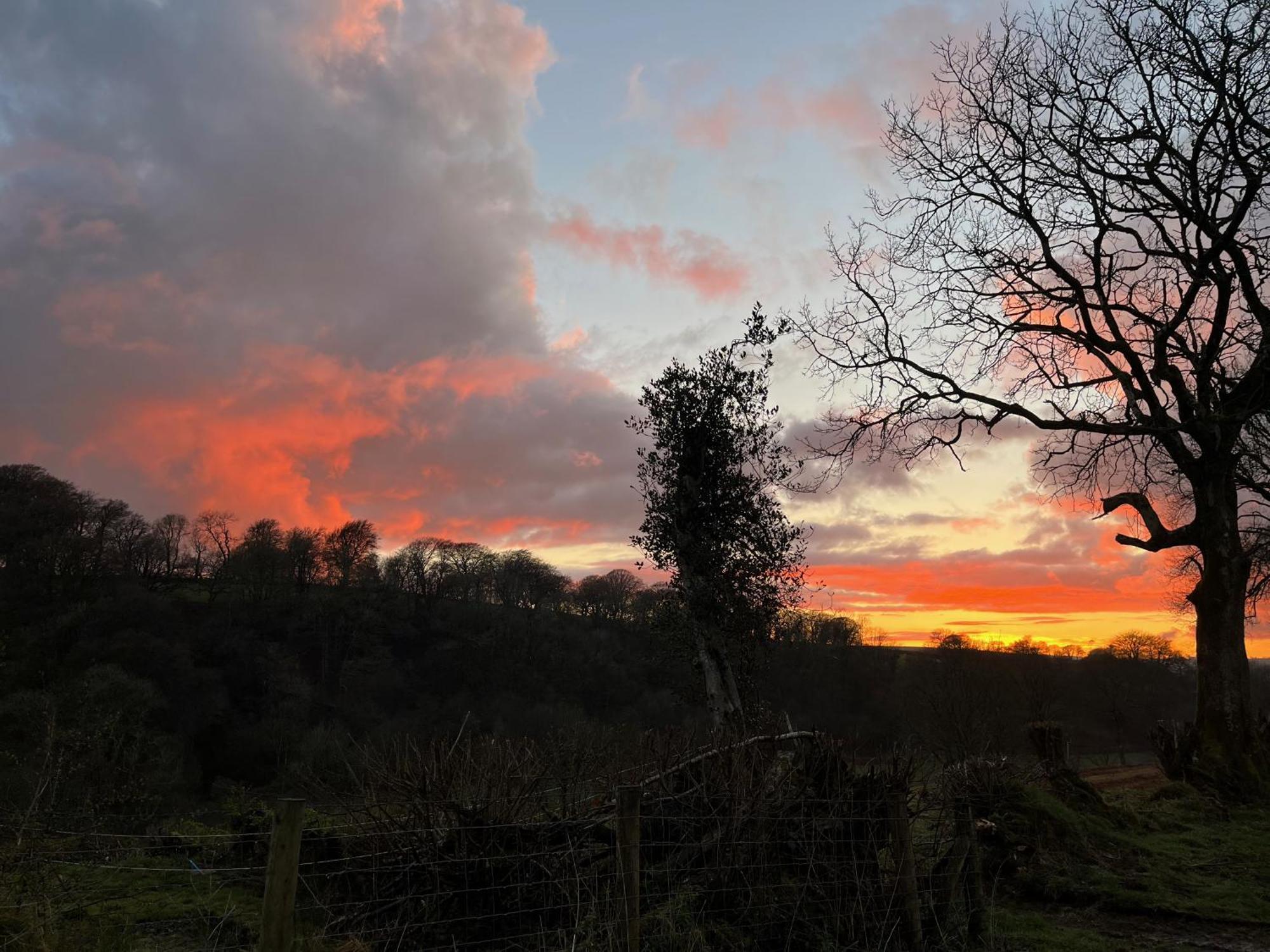 Appartamento Charming Countryside Barn Pencader  Esterno foto